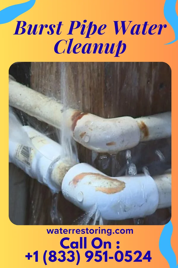 Burst Pipe Water Cleanup in Ambrose, ND