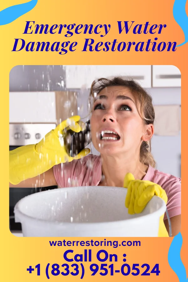 Emergency Water Damage Restoration in Ambrose, ND